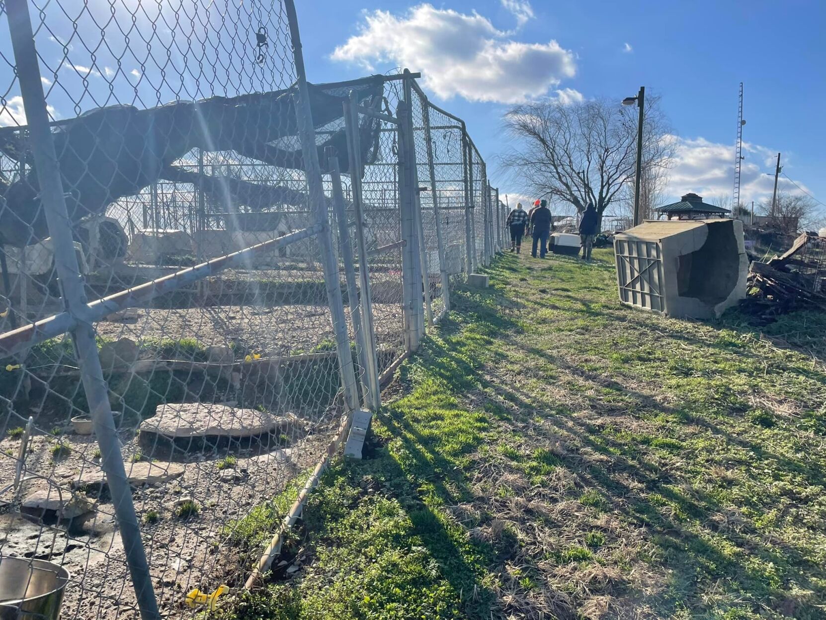 Vanderburgh Humane Society Takes In Dogs Rescued From Puppy Mill